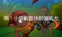 乖！小狼别跑
