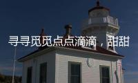 第九特区