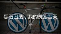 黑石囚凰，我